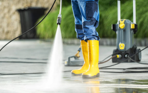 Best Deck Cleaning Services  in Clara City, MN