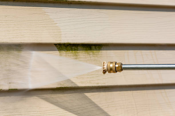 Best Residential Pressure Washing Services  in Clara City, MN